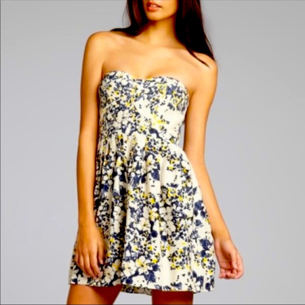 Parker strapless silk dress